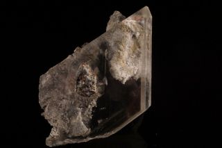 Gem Selenite Crystal with Pyrite NAICA,  MEXICO - Ex.  Nikischer 3
