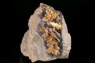 EXTRAORDINARY Native Gold Crystal Cluster VETAS GROUP,  COLOMBIA 3