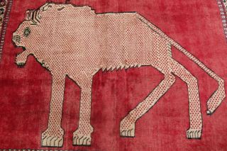 Vintage Animal Lion Pictorial Gabbeh Kashkoli Wall - Hanging Rug Hand - Knotted 4x5