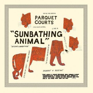Parquet Courts ‎– Sunbathing Animal Vinyl Lp & 7 " Single