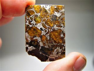 Museum Quality Crystals Brahin Pallasite Meteorite 12.  9 Gms