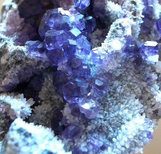 Extraordinary Gem Tanzanite Blue Fluorite Cluster,  Quanzhou,  Fujian,  China