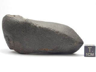 185 g NWA x Unclassified Chondrite Meteorite Oriented 2