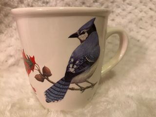 CJ Wildlife Blue Jay Coffee Tea mug leaf fall bird decor design in cup Nature 2