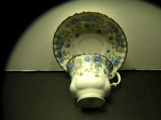2pc Hand Painted Royal Albert England Blue Flower Buds Bone China Cup & Saucer C