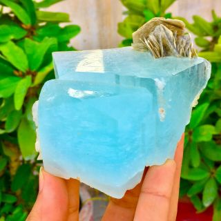 Wow 1754 C.  T Top Class Damage Terminated Blue Color Aquamarine Crystal