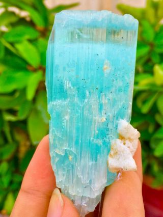 Wow 534 C.  T Top Class Damage Terminated Blue Color Aquamarine Crystal