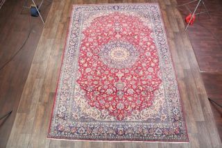 SUMMER Vintage Traditional Floral RED BLUE Oriental Area Rug Carpet 9 ' x13 ' 3