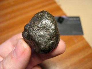 Meteorite Nwa 12551 - Unequilibrated Rumurutie Chondrite - R3 - (40.  67g Endcut)