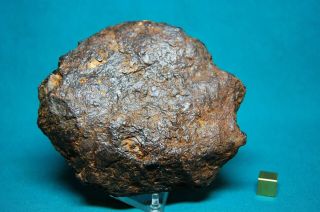 Sericho Meteorite Pallasite 707 Grams
