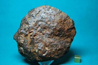 Sericho meteorite Pallasite 707 grams 2