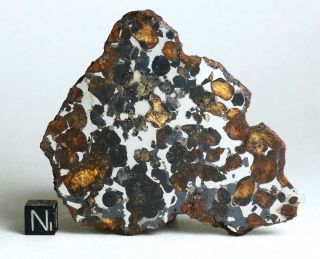 Meteorite Sericho - Pallasite - Big 167.  2g Mirror Polished Endcut