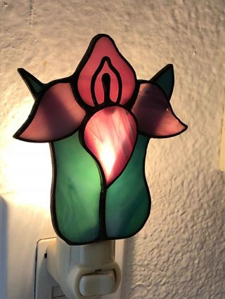 Vintage Tiffany Style Stained Glass Lamp Multi Color Tropical Fish Night Light