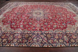 Antique Traditional Floral Red Najafabad Area Rug Hand - Knotted Living Room 10x13