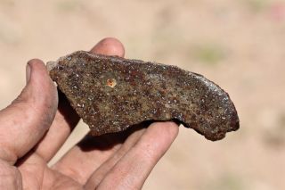 Gold Basin Meteorite End Cut 79.  3 Grams