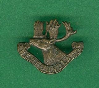 World War 1 First Newfoundland Regiment Cap Badge / Collar Badge
