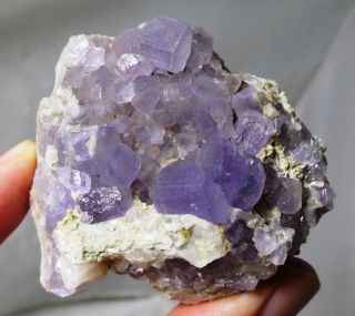 Fluorapatite Crystals On Matrix - Erongo,  Usakos Omaruru,  Namibia - Apatite