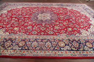 Vintage Traditional Floral Red Najafabad Area Rug Hand - Knotted Living Room 10x14