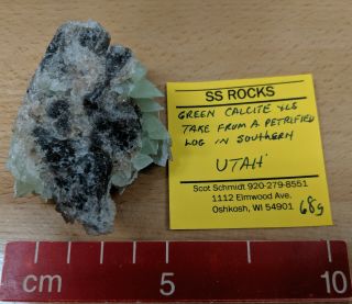 Rare Green Calcite On Petrified Wood,  Garfield Co,  Utah