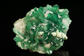 Aesthetic Chrome Vesuvianite Crystal Cluster Jeffrey Mine,  Canada - Ex.  Key