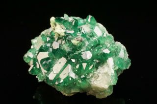 AESTHETIC Chrome Vesuvianite Crystal Cluster JEFFREY MINE,  CANADA - Ex.  Key 2