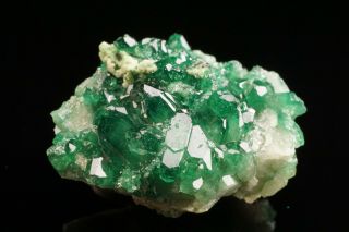 AESTHETIC Chrome Vesuvianite Crystal Cluster JEFFREY MINE,  CANADA - Ex.  Key 3