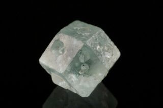 Rare C.  1923 Boracite Crystal Ludwig Ii Shaft,  Germany