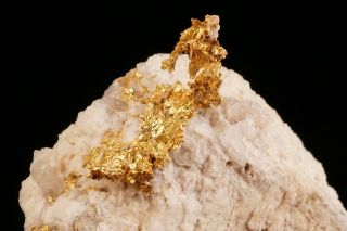 OLD Native Gold Crystal on Matrix 16 to 1 MINE,  CALIFORNIA 2