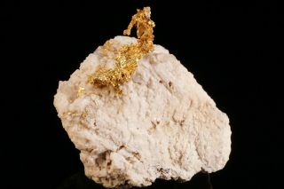 OLD Native Gold Crystal on Matrix 16 to 1 MINE,  CALIFORNIA 3