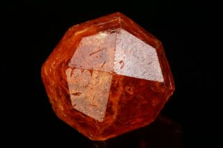 LARGE Orange Spessartine Garnet Crystal LOLIONDO,  TANZANIA 3