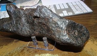 6024 gm CAMPO DEL CIELO METEORITE ; AAA GRADE 13.  3,  lbs.  ; lg.  meteorite 3