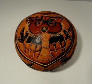 Vintage Peruvian Carved Owl Gourd Trinket Box
