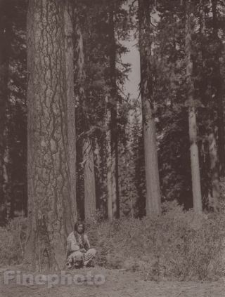 C.  1900/72 Edward Curtis Photogravure Native American Indian Klamath Tribe Forest