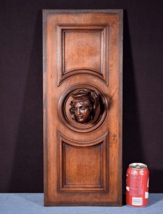 French Antique Deep Carved Architectural Panel Door Solid Walnut With Face