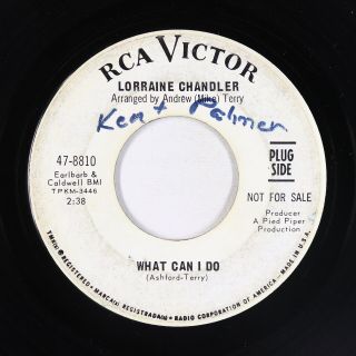 Northern Soul 45 - Lorraine Chandler - What Can I Do - Rca Victor - Mp3