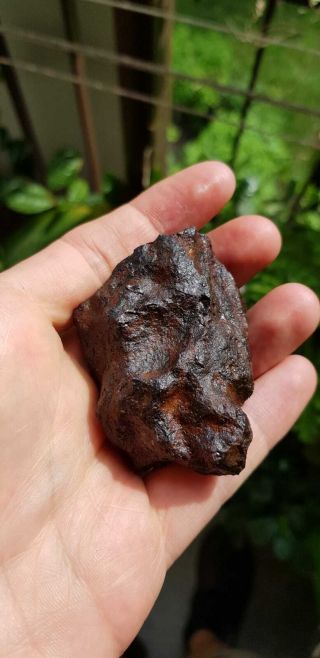 Meteorite Morasko Iab - Mg,  296 Grams Complete Specimen