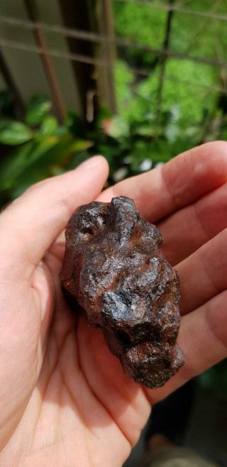 Meteorite Morasko IAB - MG,  296 grams complete specimen 3