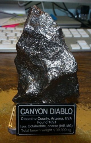 336 Gm.  Canyon Diablo Iron Meteorite ;museum Grade With Stand And Label.  8 Lbs