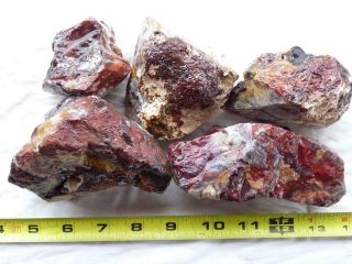 RimRock: 3.  85 Lbs MEXICAN CRAZY LACE AGATE Rough 2