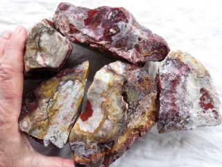 RimRock: 3.  85 Lbs MEXICAN CRAZY LACE AGATE Rough 3