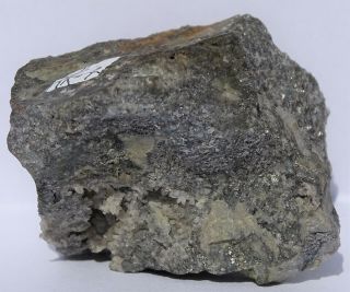 Rich Sylvanite W Tellurite,  Micro Hessite? Xl - - Portland Mine,  Cripple Creek,  Co