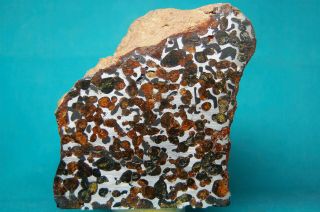 Sericho Pallasite Meteorite 1,  597 Grams