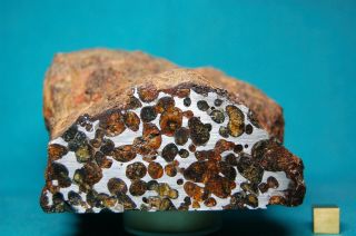 Sericho Pallasite meteorite 1,  597 grams 2