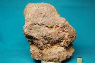 Sericho Pallasite meteorite 1,  597 grams 3