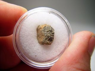 Great Deal Fabulous Fragment Nwa 6963 Martian Shergottite Meteorite.  876 Gms