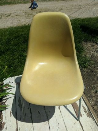 Vintage Herman Miller Yellow Fiberglass Shell Chair W/ Stackable Base & Sticker