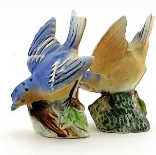 Vintage Bluebird Salt And Pepper Shakers Victoria Ceramic Shaker Set Collectible