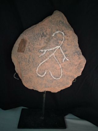 Large Old Engraved Petroglyph Stone Central Desert.  Aboriginal.