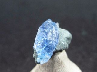 Rare Gem Jeremejevite Crystal From Namibia - 1.  5cm - 5.  70 Carats