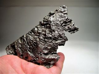 Nicely Shaped Specimen Dronino Ataxite Iron Meteorite Individual 363.  3 Gms